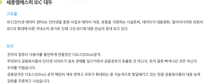 세종엠에스피 IDC 대두