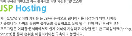 자바 언어를 기반으로 하는 웹사이트 개발 기술인 JSP 호스팅